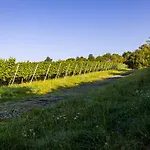 Nettes Kleines Mit Stellplatz 아파트