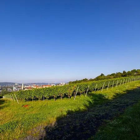 Nettes Kleines Mit Stellplatz Würzburg