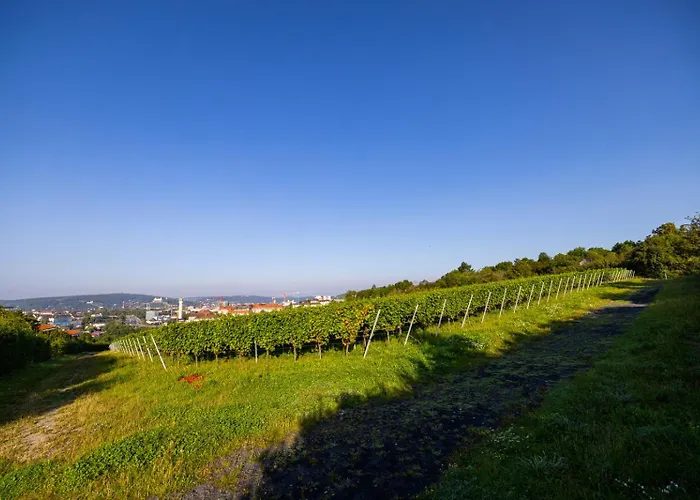 Nettes Kleines Mit Stellplatz Würzburg
